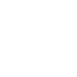 foxTI